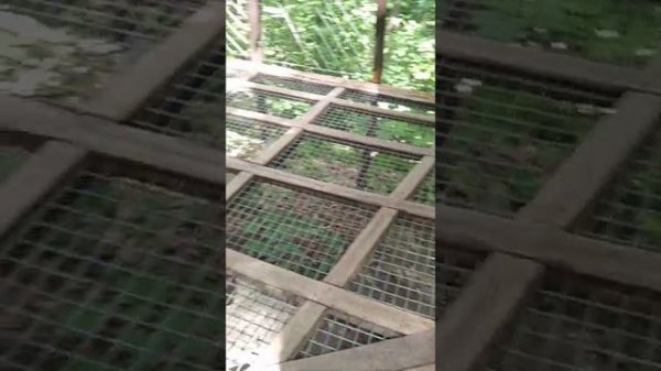 1.Feengrotten, Saalfeld. 1.Грот фей, Саалфелд, Германия. 18.06.2022.