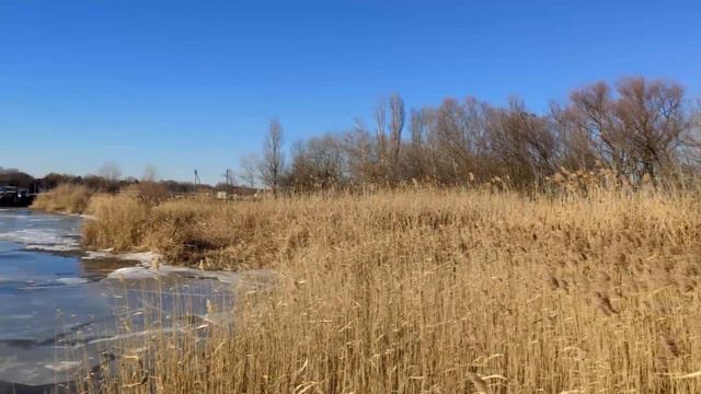 Весеннее пробуждение на Дону смотреть онлайн