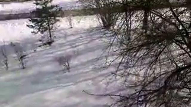 21 апреля +5 градусов снег начал таять смотреть онлайн