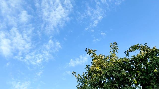 Что стоит и не стоит дарить на свадьбу? смотреть онлайн