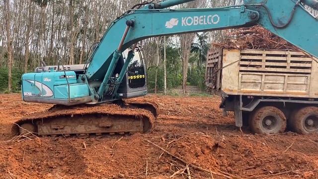 KOBELCO SK200-8 ตักตอยางพาราใส่รถ Hino sumo fm227 смотреть онлайн