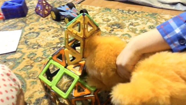 Опыты с магформерс tricks Magformers конструктор на магнитах 매그넘 складываем машинки и домик 魔法使い смотреть онлайн