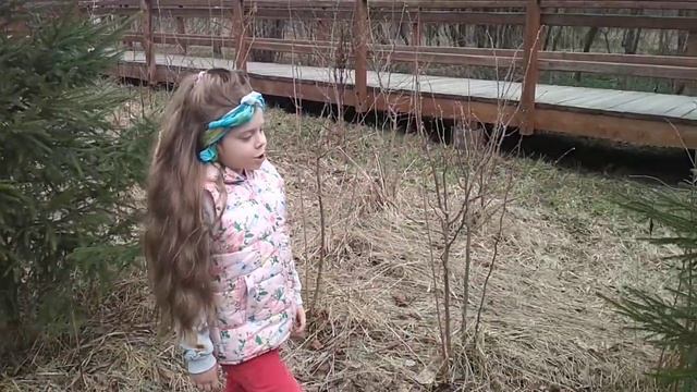 Богданова Ева Ф. Тютчев "Зима недаром злится" смотреть онлайн