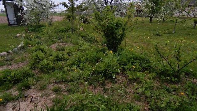 Наша дача 13 мая ??? смотреть онлайн