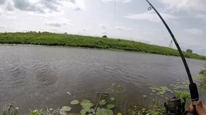 Толстолобик! Упа. Тульская область!