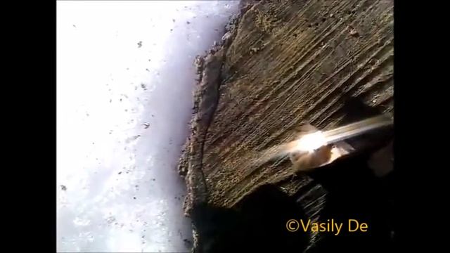 Линза френеля в качестве средства добычи огня смотреть онлайн