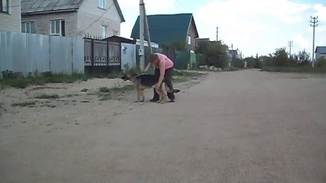 SDC14833 смотреть онлайн