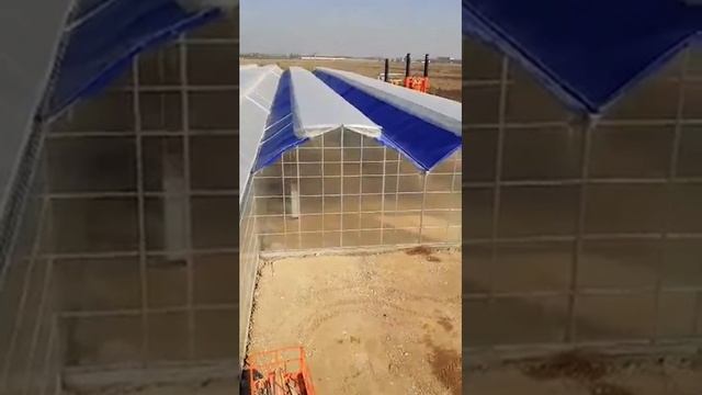 Строительство современной теплицы в Узбекистане 2019 Кибрай Отопление Гидропоника AGRODINAMIX смотреть онлайн