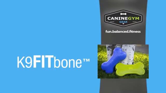 Обучение собаки балансировке на мяче от CanineGym смотреть онлайн