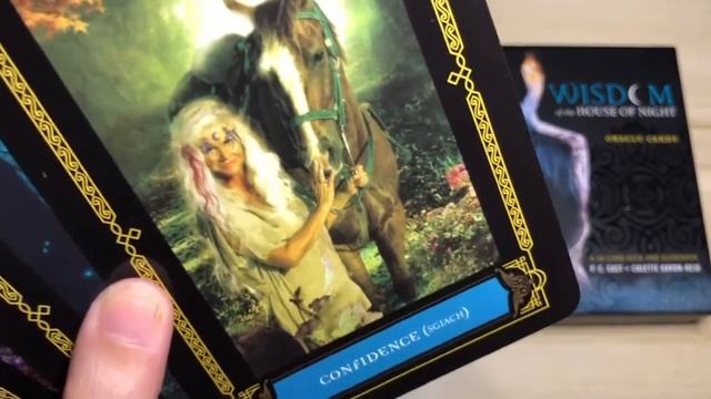 WISDOM OF THE HOUSE OF NIGHT ORACLE - Deck review & flip through! Dark-themed deck for shadow work. смотреть онлайн