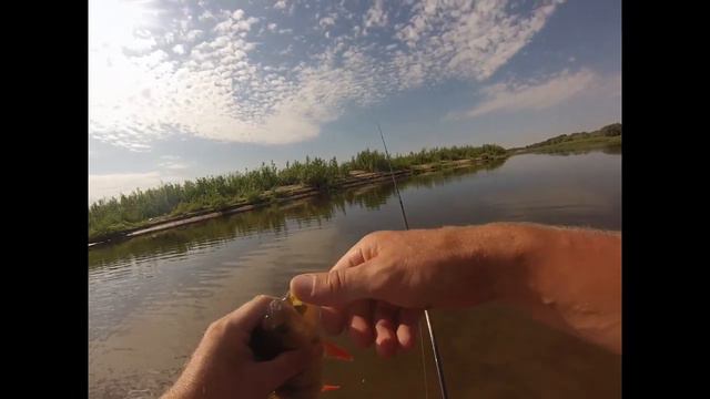 Верхняя Ахтуба Ловля окуня смотреть онлайн