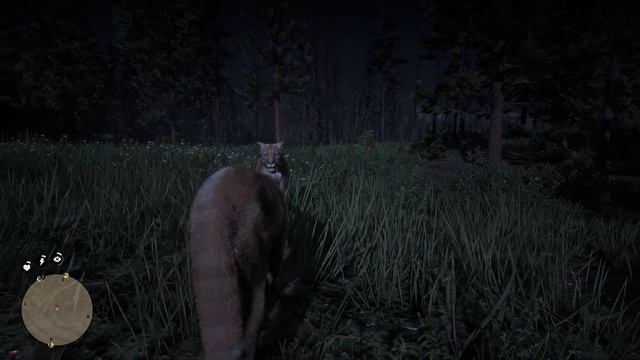 Legendary Twin Cougar - Efsanevi İkiz Puma - Red Dead Redemption 2 смотреть онлайн