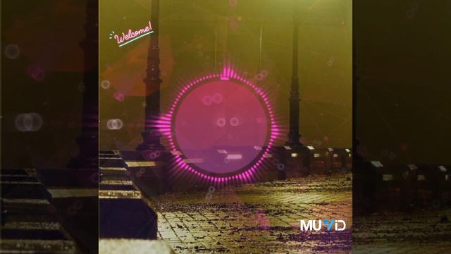 NLO - Звездолёт?