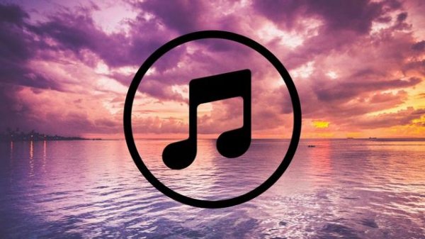 Alan Walker | Play | Music Lyrics