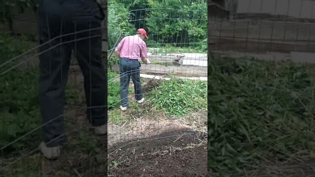 19 июня 2022 г. смотреть онлайн