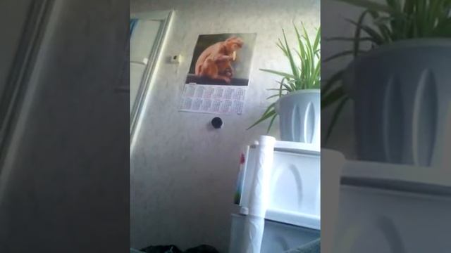 Клево смотреть онлайн