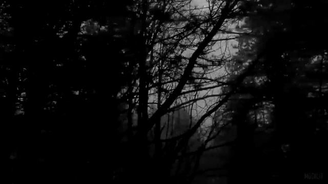 Эксклюзивно от Kot Begemot World. Страшные истории - БЛЕДНОЕ СМОРЩЕННОЕ ЛИЦО. Страшилка на ночь. смотреть онлайн