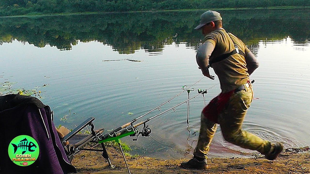 Ночевка на реке. Колокольчики Звенят. Ароматный лещ запечённый на углях. Рыбалка на фидер. смотреть онлайн