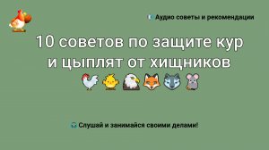 10 советов по защите кур и цыплят от хищников ???????