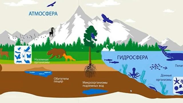 Проект «Литосфера и рельеф Земли» смотреть онлайн