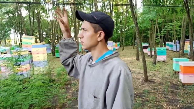 Обзор самодельной палатки для от качки мëда смотреть онлайн