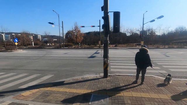Давай подышим чистым воздухом)) (Прогулка+изучение языка) смотреть онлайн