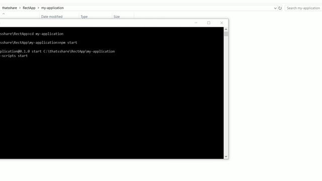 Command to run the rect application смотреть онлайн