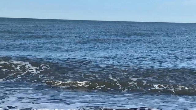 28.03.2023. Погода в Сочи в марте.Смотри на Чёрное море каждый день. смотреть онлайн