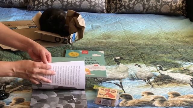 Лучшие книги для детей на лето. Распаковка от OZON мой честный отзыв буду ли заказывать ещё? смотреть онлайн