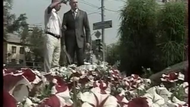 Челябинске выберут лучшую клумбу смотреть онлайн