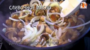 Как правильно жарить шампиньоны. Жаренные шампиньоны с луком на сковороде. Как пожарить шампиньоны