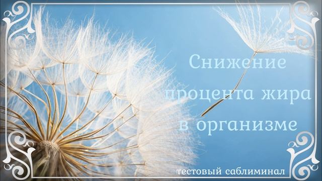 Безопасное сжигание жира 1. Тестовый саблиминал. смотреть онлайн