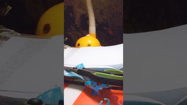 Открываю !яйцо!LIL Sisters за 70 рублей!Подделка за 70 лучше,чем за 170?!