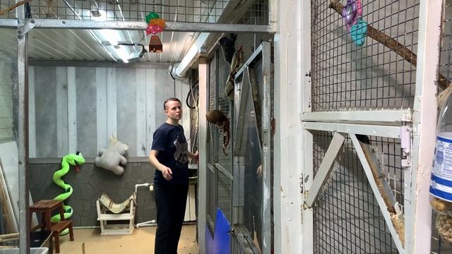 Играем в бутылочку и развиваем смекалку смотреть онлайн