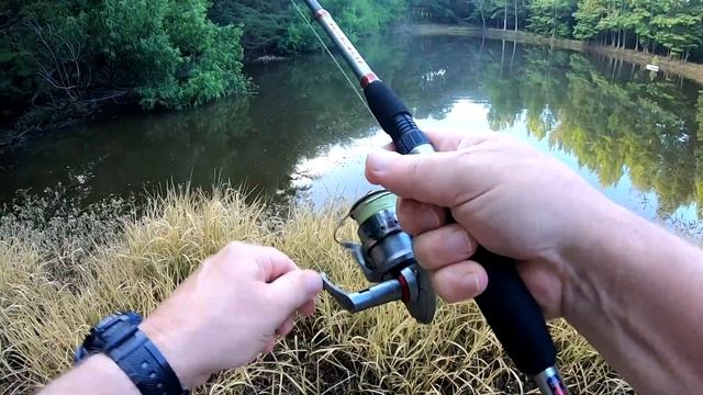 More Topwater & Berkley Gulp Earthworms смотреть онлайн