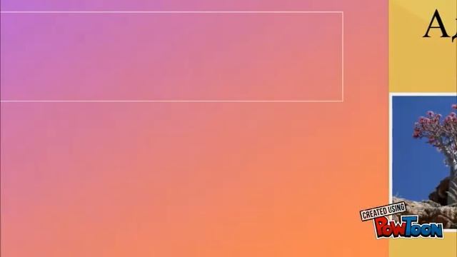 Виды Адениумов смотреть онлайн