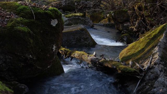 Приморский край - Вблизи водопада Неожиданный [Звуки природы, для сна, расслабления]