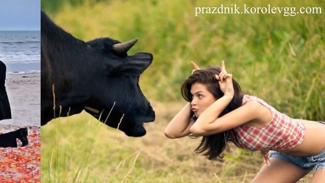 Тост за воспитанных женщин прикольные смешные тосты в прозе на день рождения на юбилей смотреть онлайн