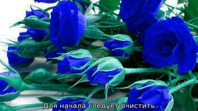 Как покрасить розу смотреть онлайн