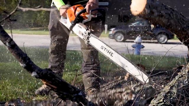 A Day in the Life of an Arborist I Russell Tree Experts смотреть онлайн