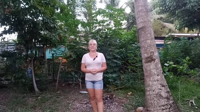 ОСТРОВ НЕГРОС, ТАМБОБО-БЭЙ - ЛУЧШЕЕ МЕСТО ДЛЯ РЕЛАКСА / НАСТОЯЩИЕ ФИЛИППИНЫ смотреть онлайн