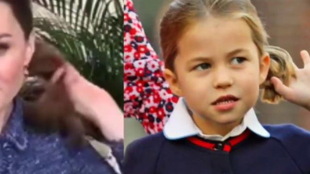 King Charles DROPS LAST-MINUTE BLOW on Prince Charlotte and its worse that we Expected смотреть онлайн