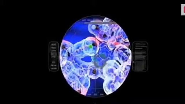 Что такое пептиды?