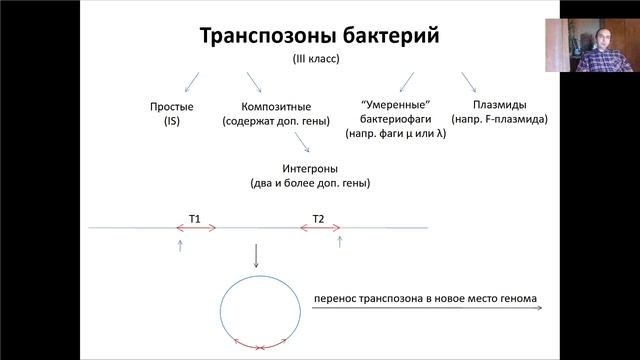 Лекция 10. Транспозоны (2021).