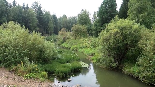 Мото-Путешествие по ТАЙГЕ. Урочище ЕРМАКИ. Посёлок Нижняя Суета. Дальняк на 150 км смотреть онлайн