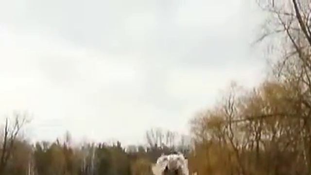 Галым Голубь смотреть онлайн