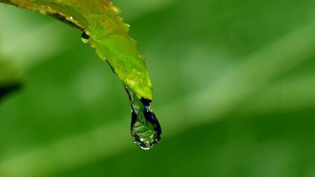 Пророк запретил отказываться от этих ТРЕХ ВЕЩЕЙ