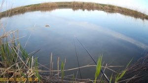 Супер рыбалка в Гривенских плавнях Краснодарского края, сом, сазан, карась ,