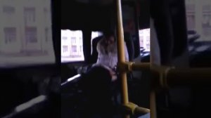 Лариса ссыт в автобусе