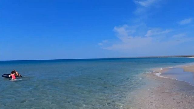 НАШЕ ЛЕТО 2023. БЕЛЯУС. ДЕЛЬФИНЫ. КРЫМ. #крым #дельфины #море смотреть онлайн